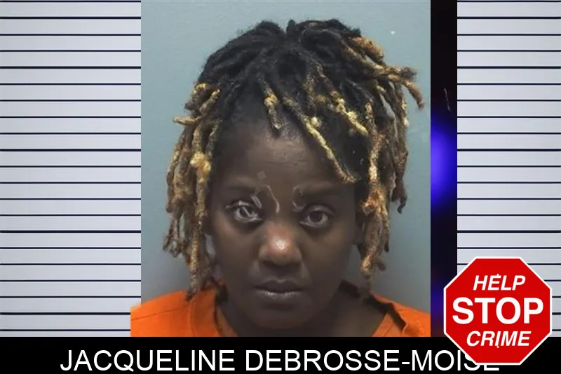Jacqueline Debrosse-Moise mugshot – Cherokee County , Georgia Jacqueline Debrosse-Moise mugshot