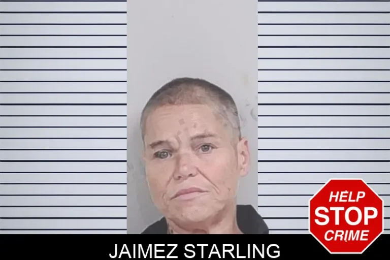 Jaimez Starling mugshot – Lowndes County , Georgia Jaimez Starling