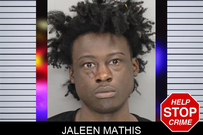 Jaleen Mathis mugshot – Cobb County , Georgia Jaleen Mathis mugshot