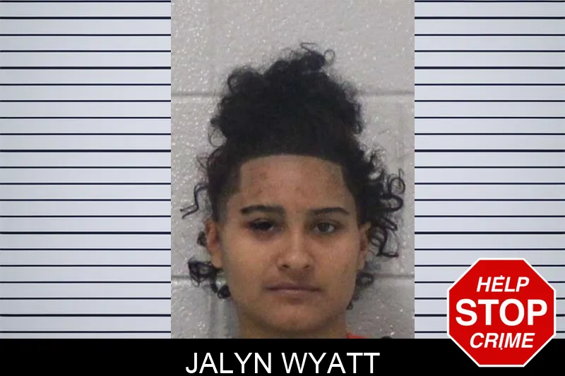 Jalyn Wyatt mugshot – Carroll County , Georgia Jalyn Wyatt mugshot