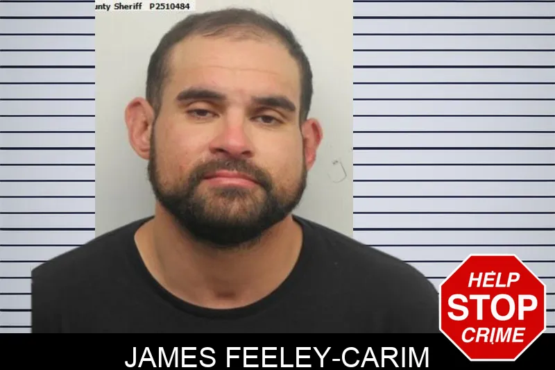 James Feeley-Carim mugshot