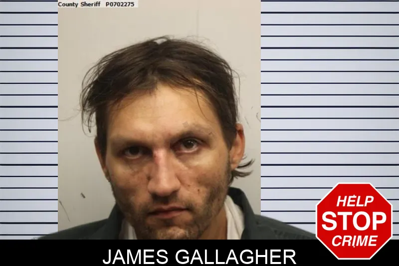 James Gallagher mugshot