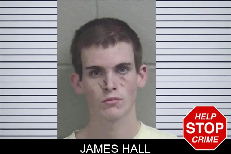 James Hall mugshot – Wayne County , Georgia James Hall