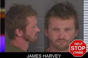 James Harvey mugshot