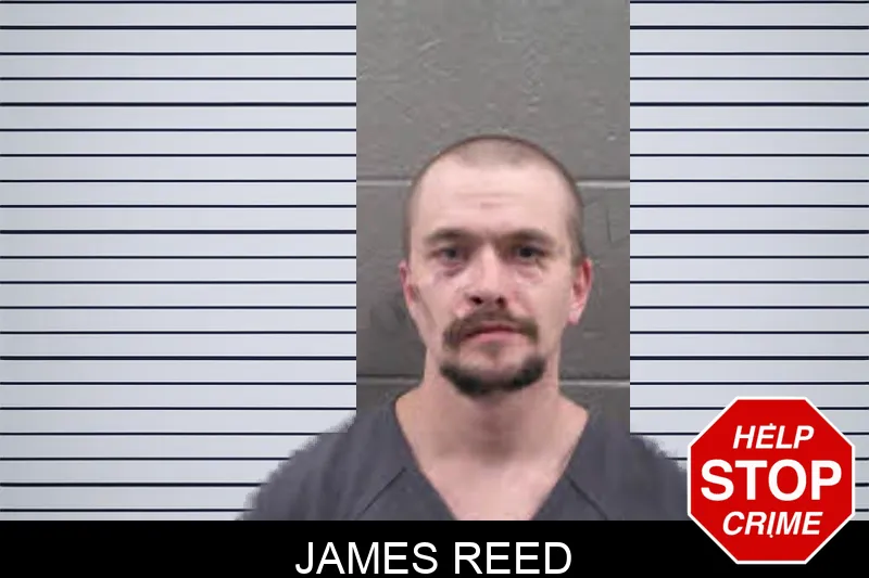 James Reed Mugshots