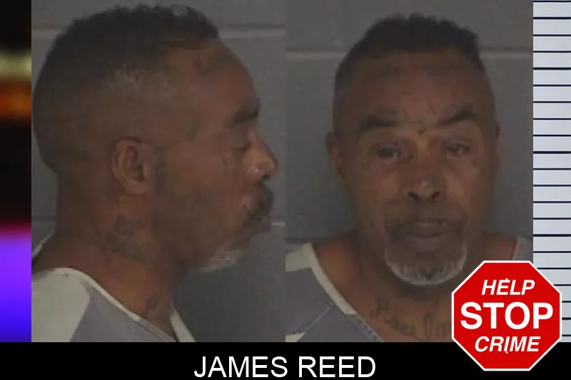James Reed Mugshots