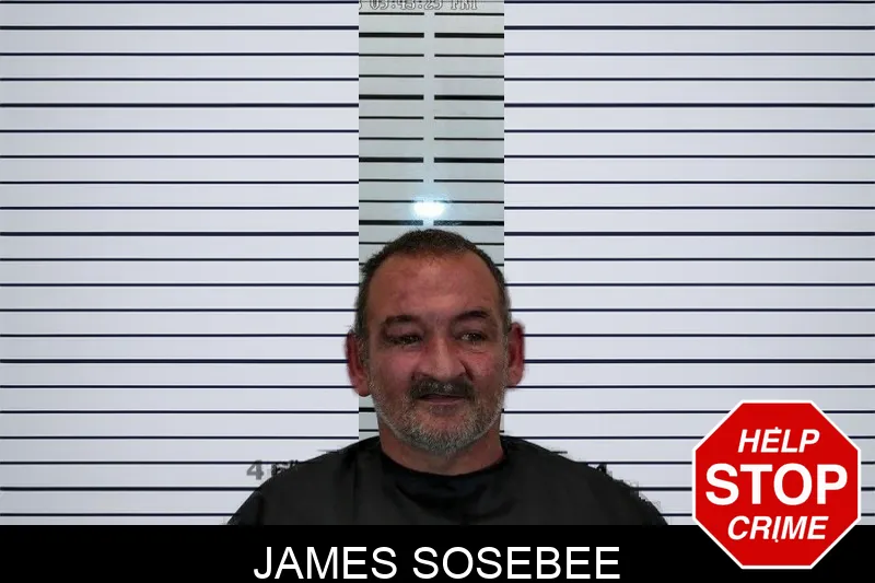 James Sosebee Mugshots