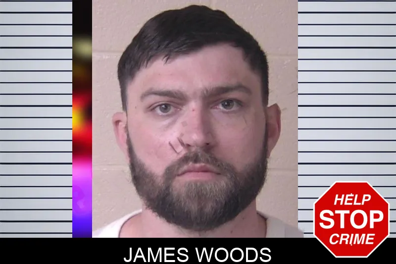 James Woods Mugshots