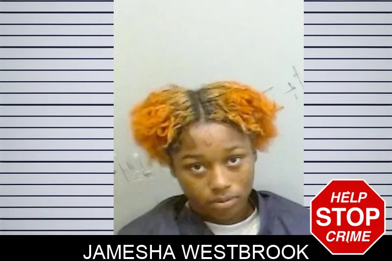 Jamesha Westbrook Mugshots