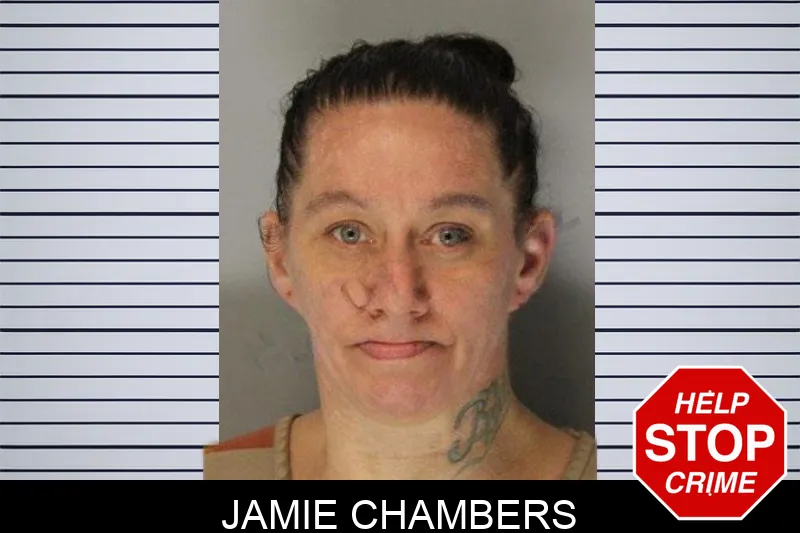 Jamie Chambers Mugshots