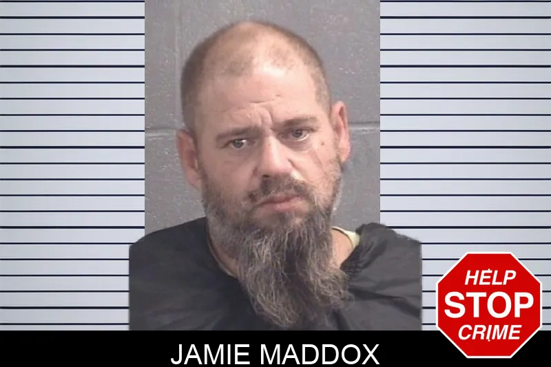 Jamie Maddox