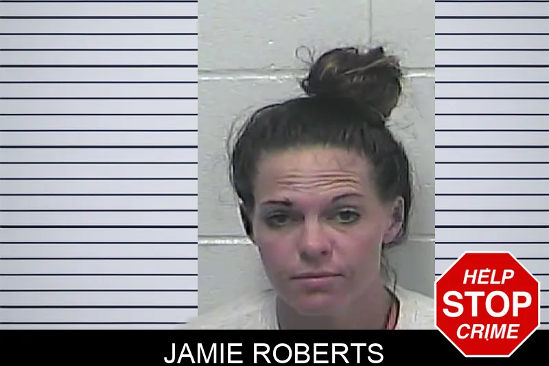 Jamie Roberts Mugshots
