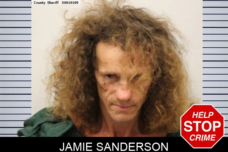 Jamie Sanderson mugshot