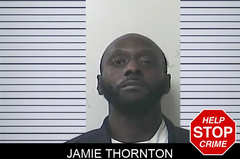 Jamie Thornton Mugshots