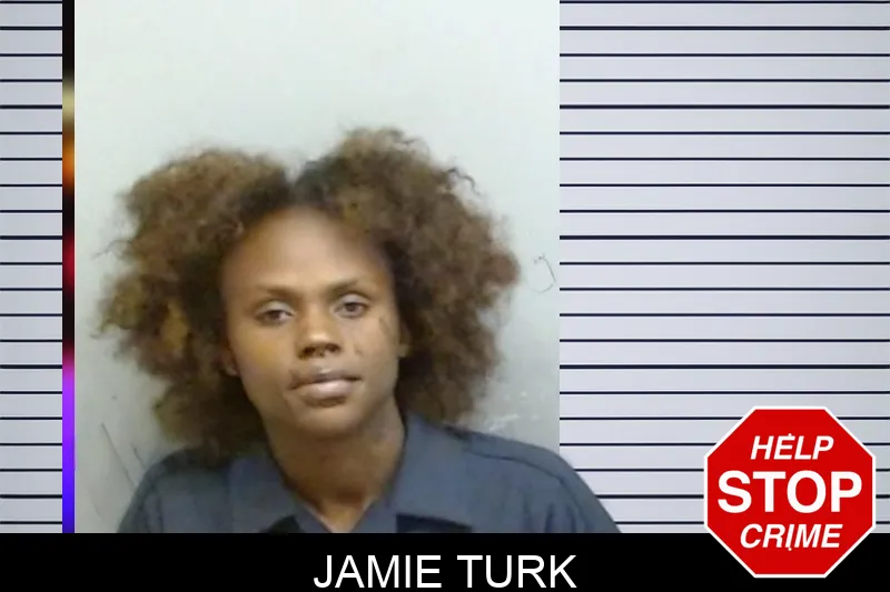 Jamie Turk mugshot – Fulton County , Georgia Jamie Turk mugshot