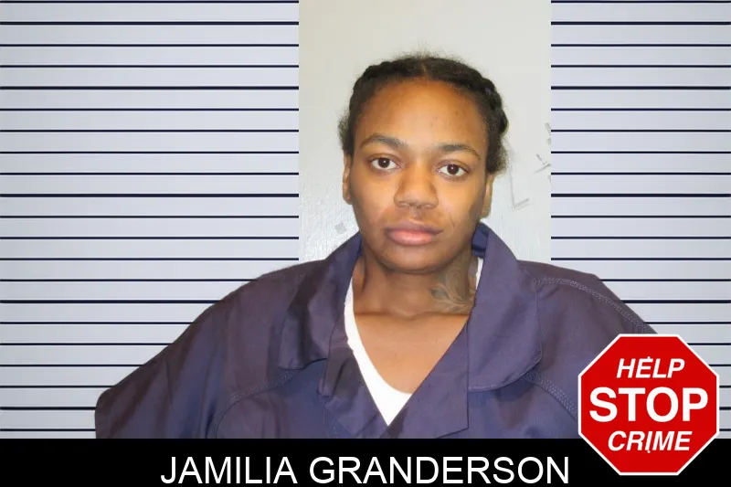 Jamilia Granderson mugshot – Fulton County , Georgia Jamilia Granderson mugshot