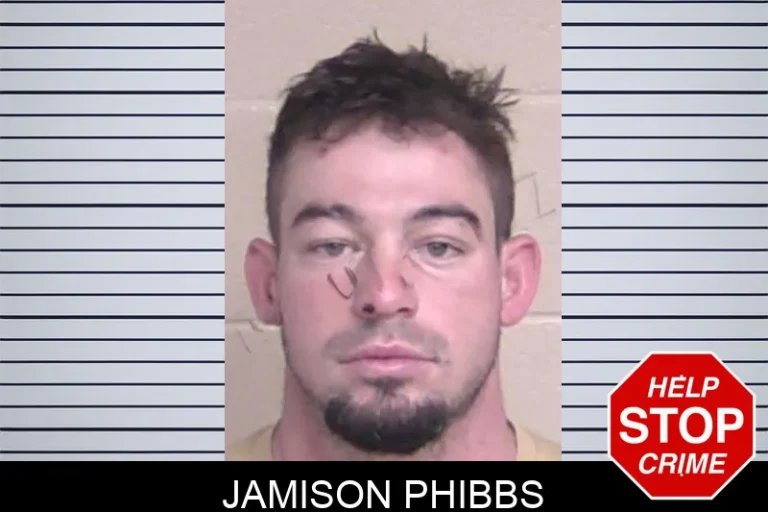 Jamison Phibbs