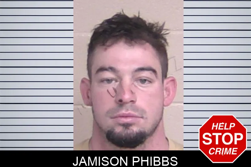 Jamison Phibbs