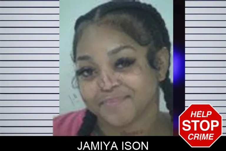 Jamiya Ison mugshot – Fayette County , Georgia Jamiya Ison
