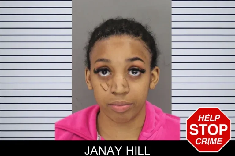 Janay Hill mugshot – Cobb County , Georgia Janay Hill