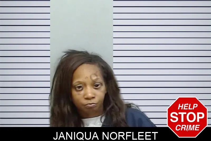 Janiqua Norfleet Mugshots