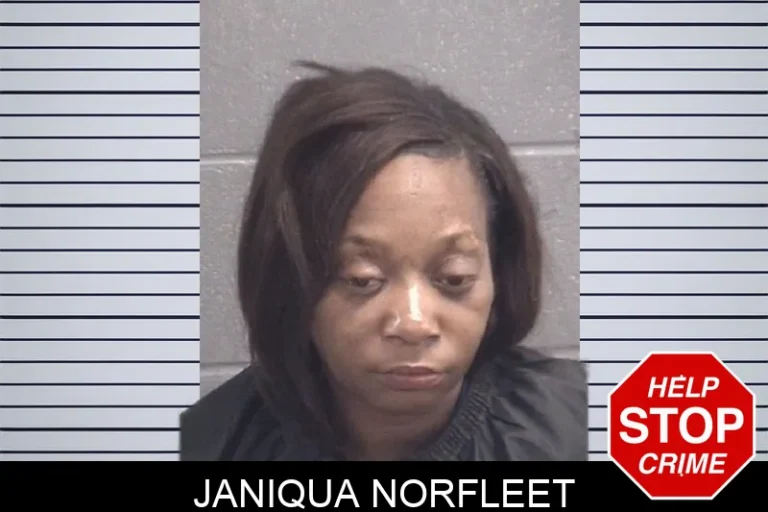 Janiqua Norfleet mugshot – Spalding County , Georgia Janiqua Norfleet