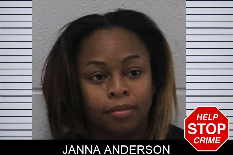 Janna Anderson Mugshots