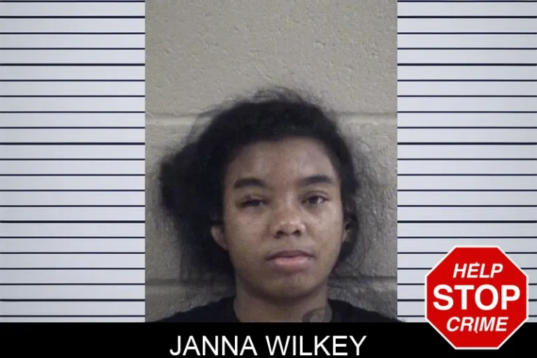 Janna Wilkey mugshot – Whitfield County , Georgia Janna Wilkey