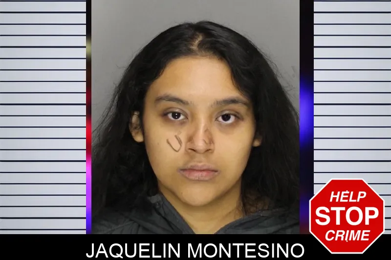 Jaquelin Montesino Mugshots