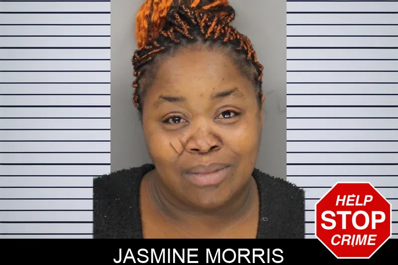 Jasmine Morris mugshot – Cobb County , Georgia Jasmine Morris mugshot