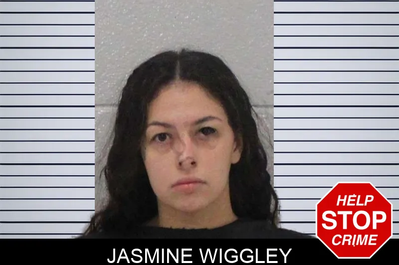 Jasmine Wiggley mugshot