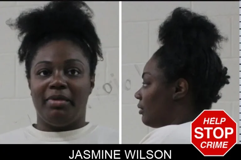 Jasmine Wilson mugshot – Houston County , Georgia Jasmine Wilson