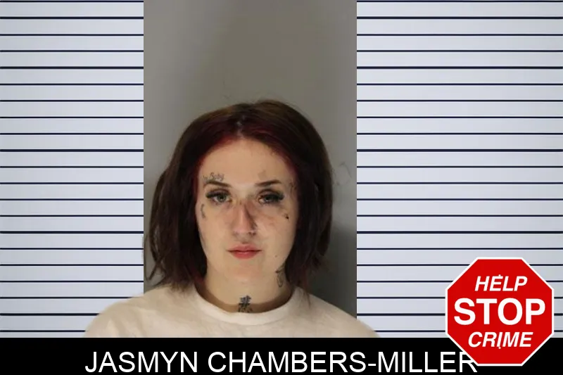 Jasmyn Chambers-Miller mugshot – Hall County , Georgia Jasmyn Chambers-Miller mugshot