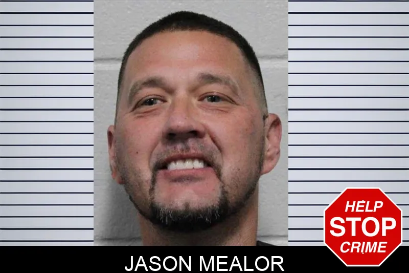 Jason Mealor