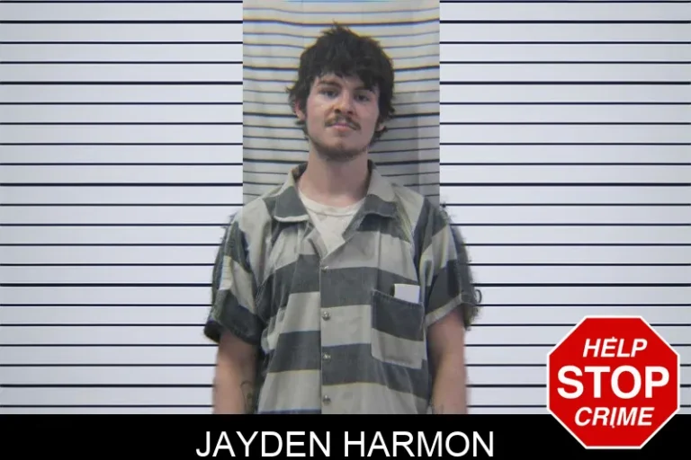 Jayden Harmon mugshot – Stephens County , Georgia Jayden Harmon