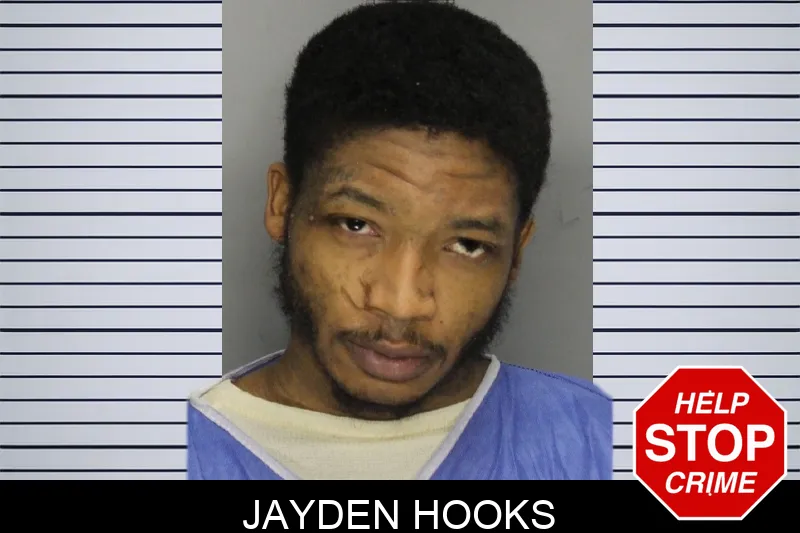 Jayden Hooks mugshot – Cobb County , Georgia Jayden Hooks mugshot