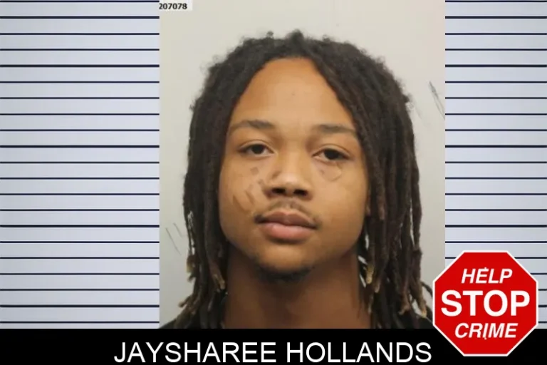Jaysharee Hollands mugshot – Chatham County , Georgia Jaysharee Hollands
