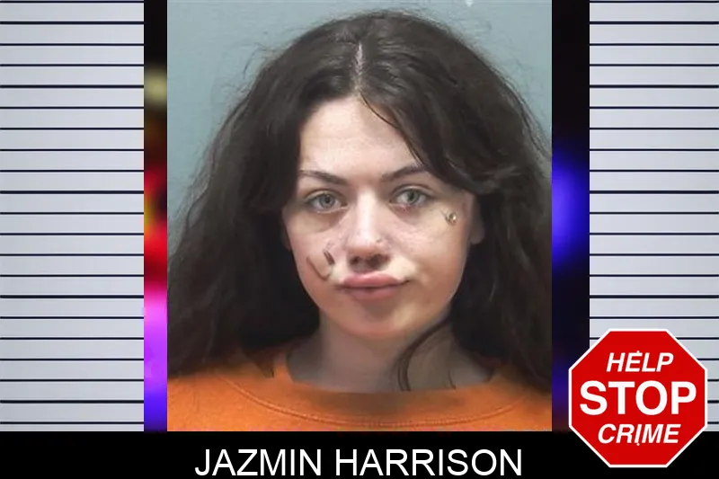 Jazmin Harrison mugshot – Cherokee County , Georgia Jazmin Harrison mugshot