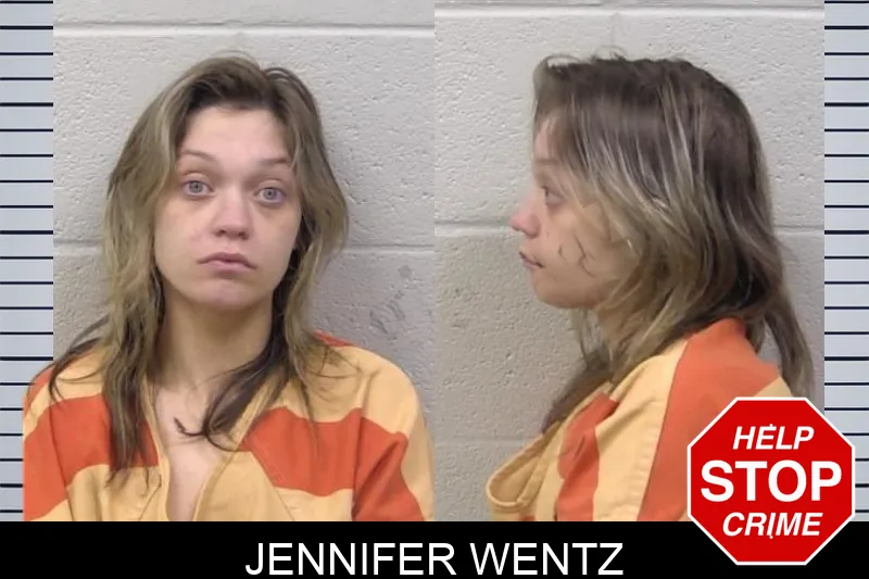 Jennifer Wentz Mugshots