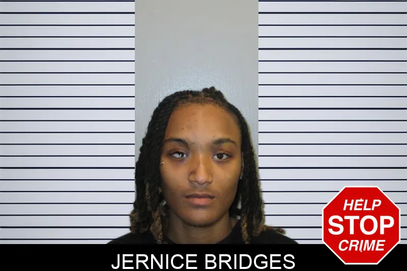 Jernice Bridges mugshot