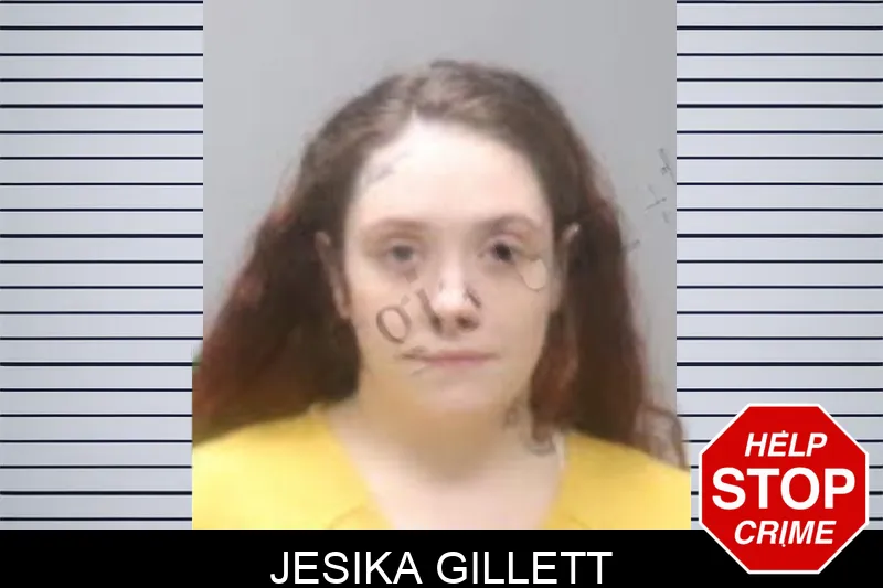 Jesika Gillett Mugshots