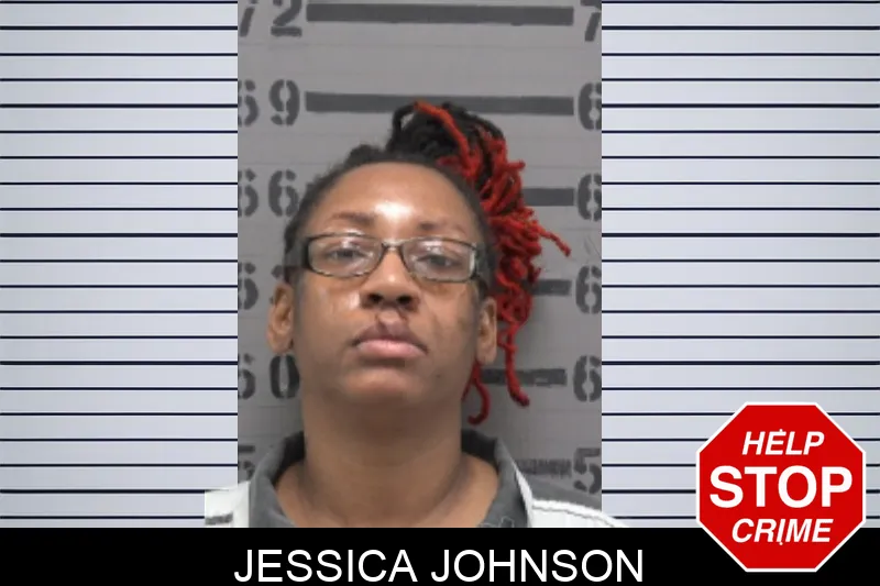 Jessica Johnson Mugshots