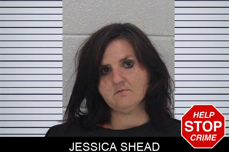 Jessica Shead mugshot – Carroll County , Georgia Jessica Shead mugshot