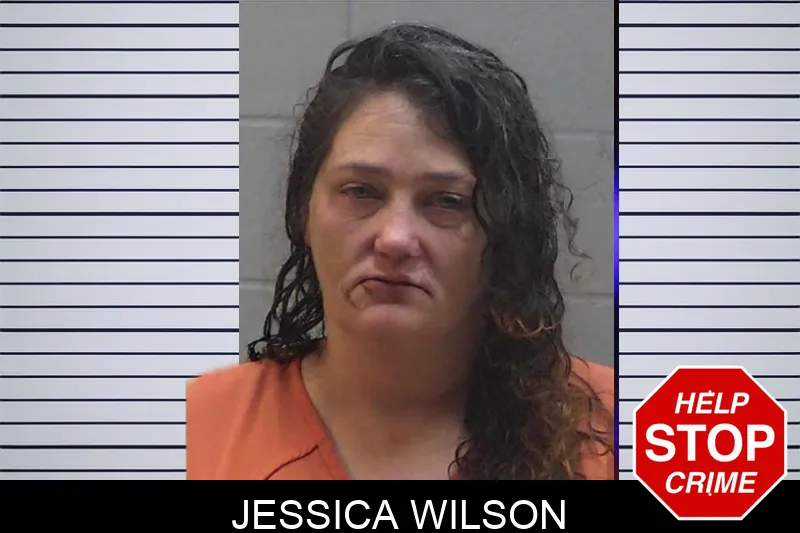 Jessica Wilson Mugshots