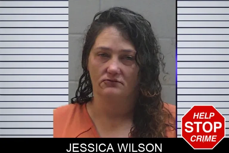 Jessica Wilson mugshot β Madison County , Georgia Jessica Wilson