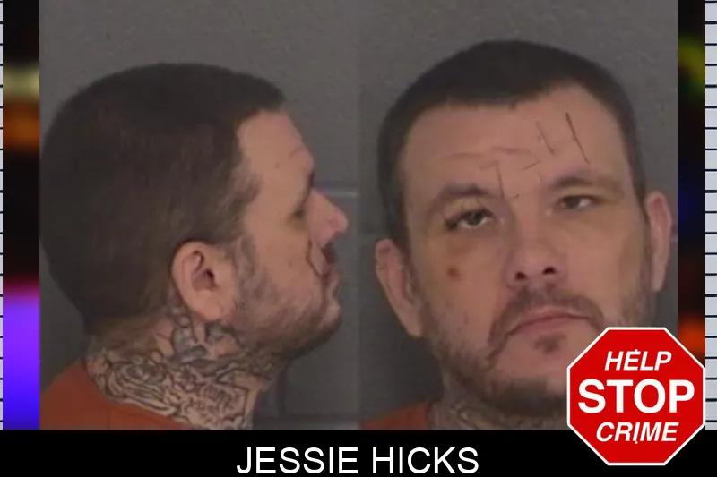 Jessie Hicks Mugshots