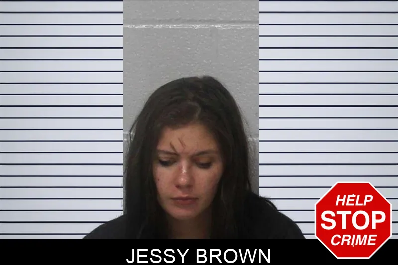 Jessy Brown Mugshots