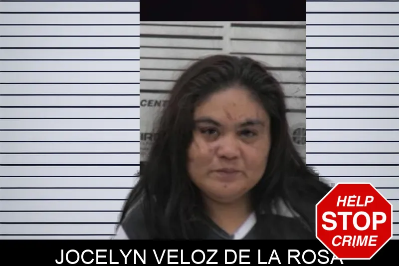 Jocelyn Veloz De La Rosa Mugshots