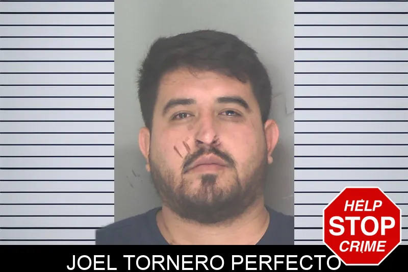 Joel Tornero Perfecto