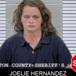 Joelie Hernandez Mugshots